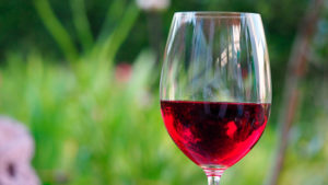 Vino ecológico