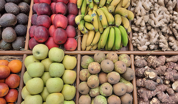 Ecoalimentaria