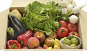 Ecoalimentaria