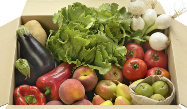 Ecoalimentaria